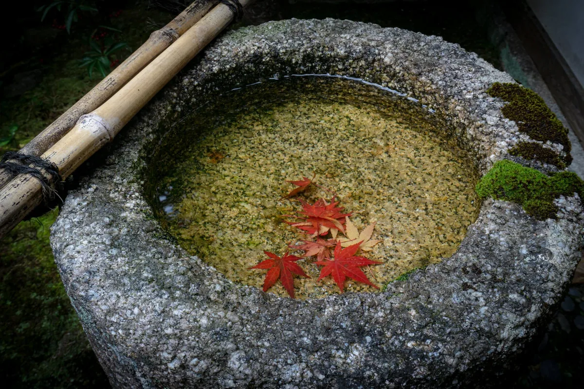 庭の水鉢に紅葉が浮かぶ風景。津市のご実家の庭のイメージ
